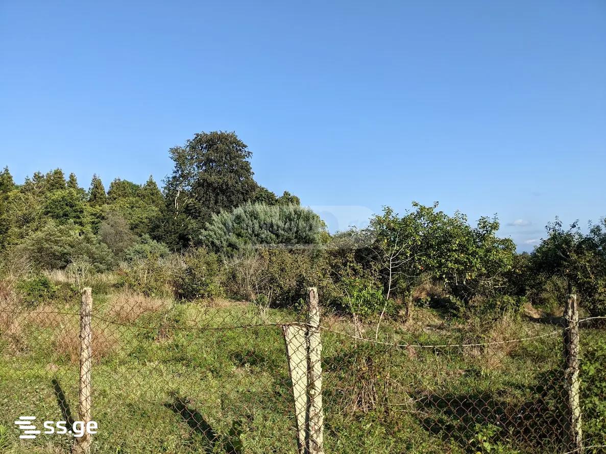 Land For Sale. Shekvetili view 3