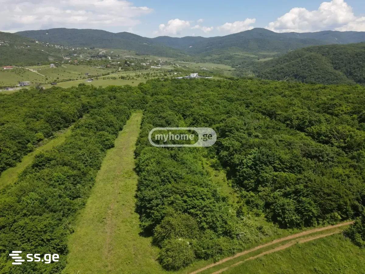 Land For Sale. Saguramo view 5