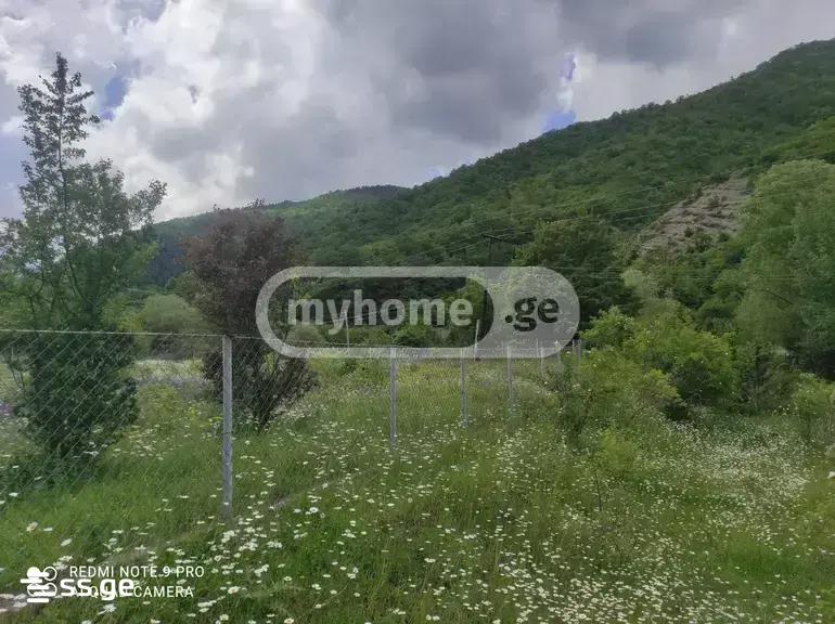 Land For Sale. Gori view 3