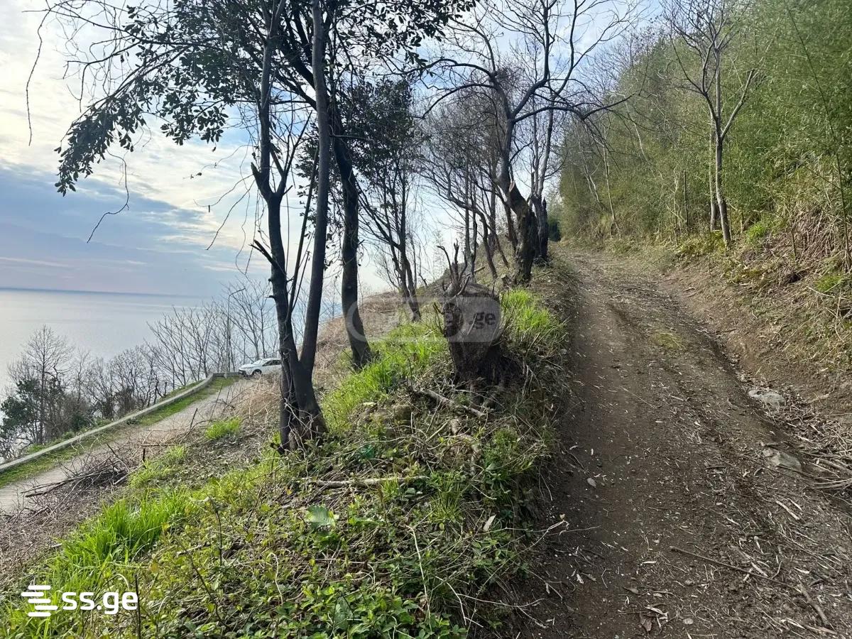 Land For Sale. Gonio view 13