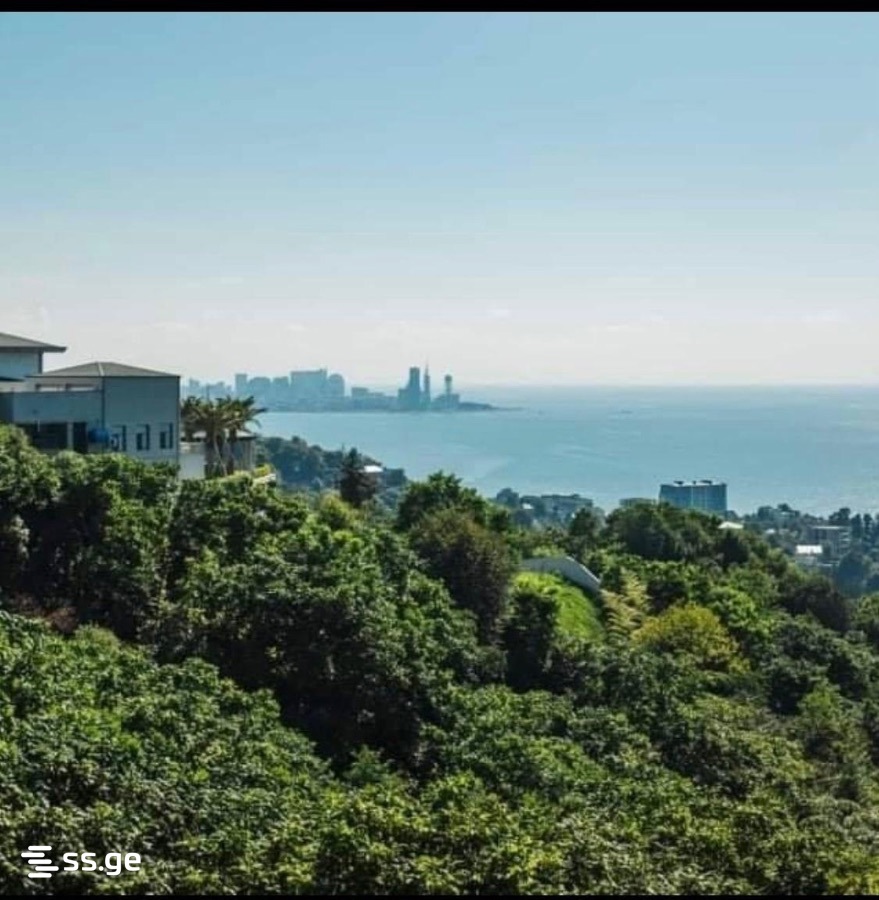 6 Room Private House For Rent. Batumi view 6