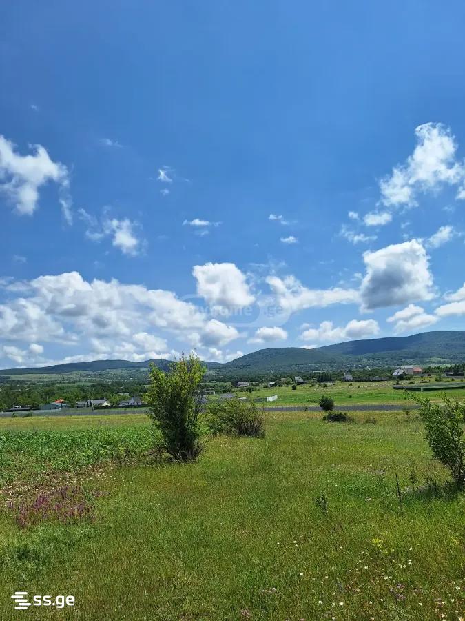 Продажа Земля в базалети view 2