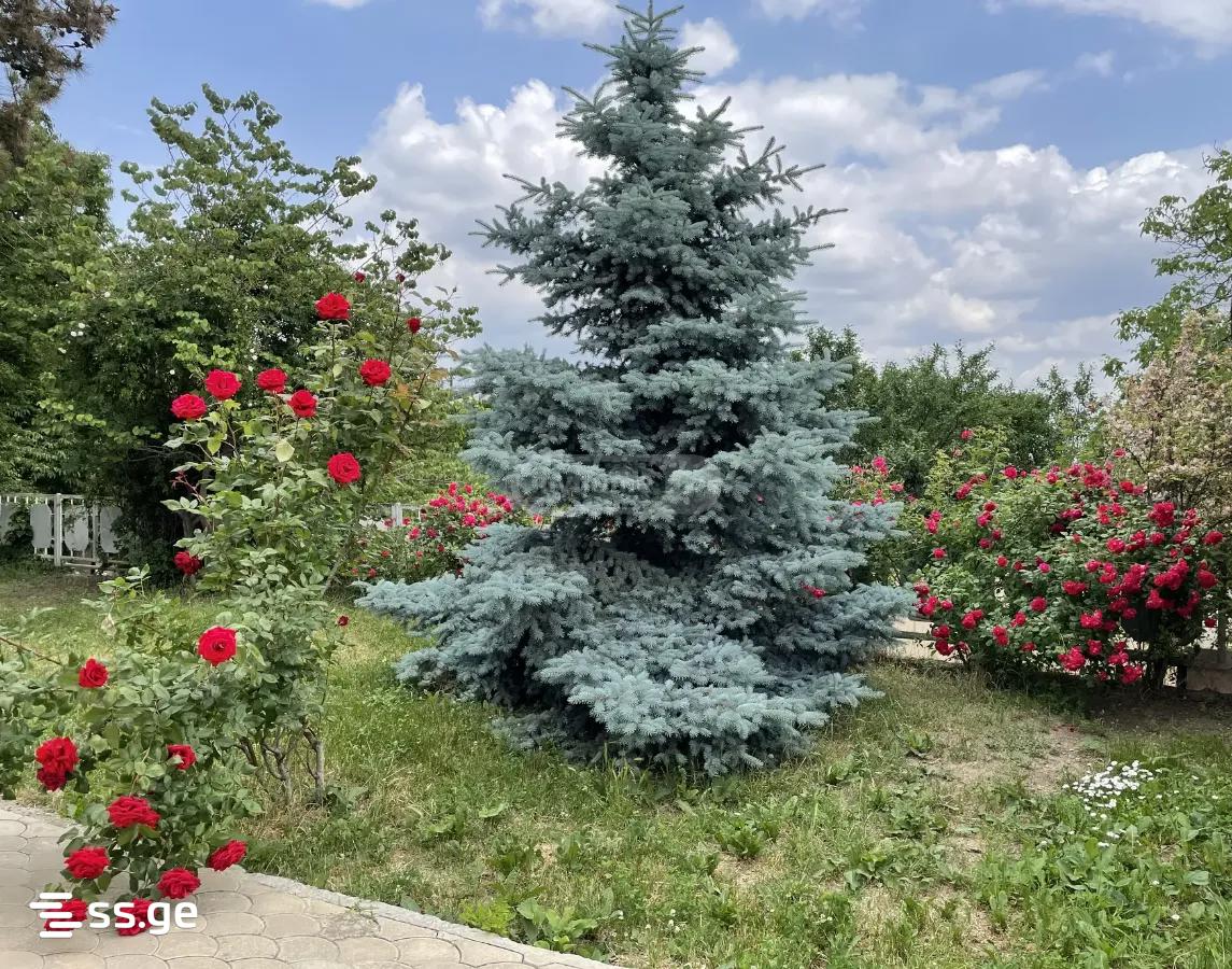 Продажа 3-комната Summer Cottage, 3 of 4