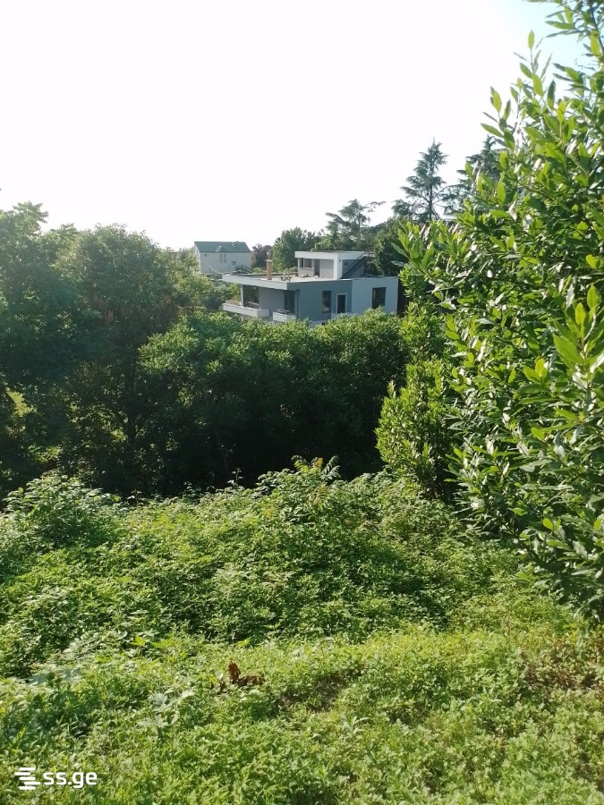 Land For Sale. Makhindjauri view 6