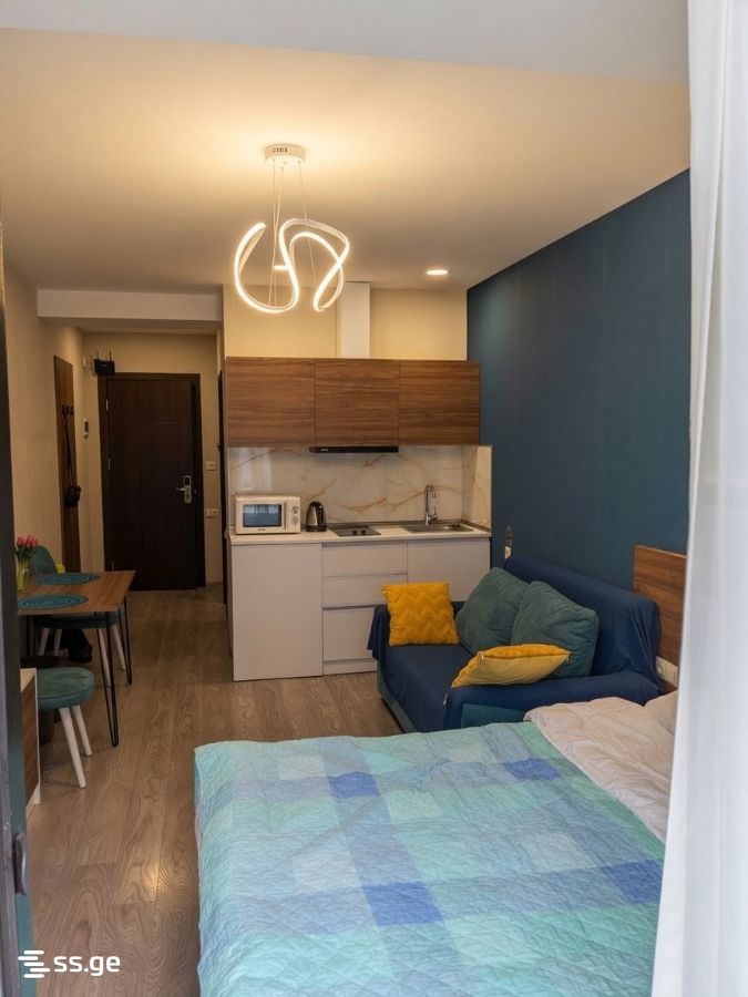 1 Room Flat Daily Rent. Bakuriani, 10 of 12