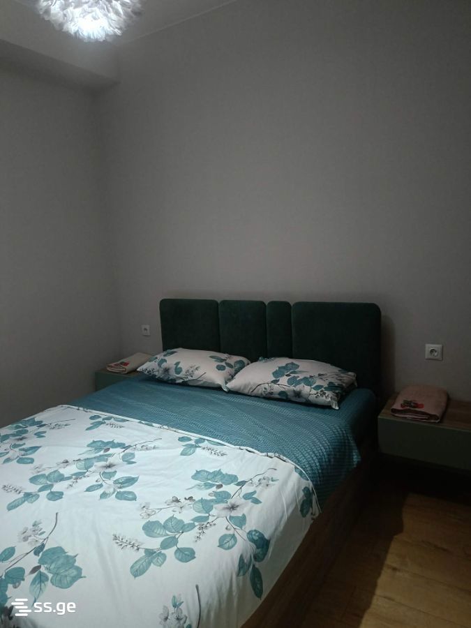 2 Room Flat Daily Rent. Nadzaladevi, 4 of 7