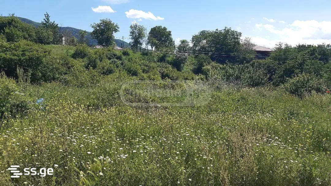 Продажа Земля в сагурамо view 4