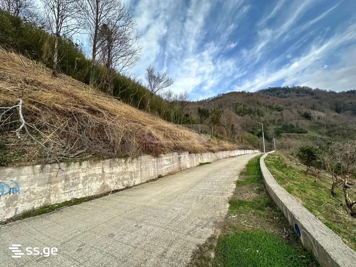 Land For Sale. Gonio view 4
