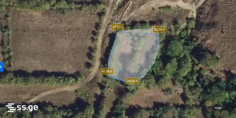 Land For Sale. Bazaleti view 1