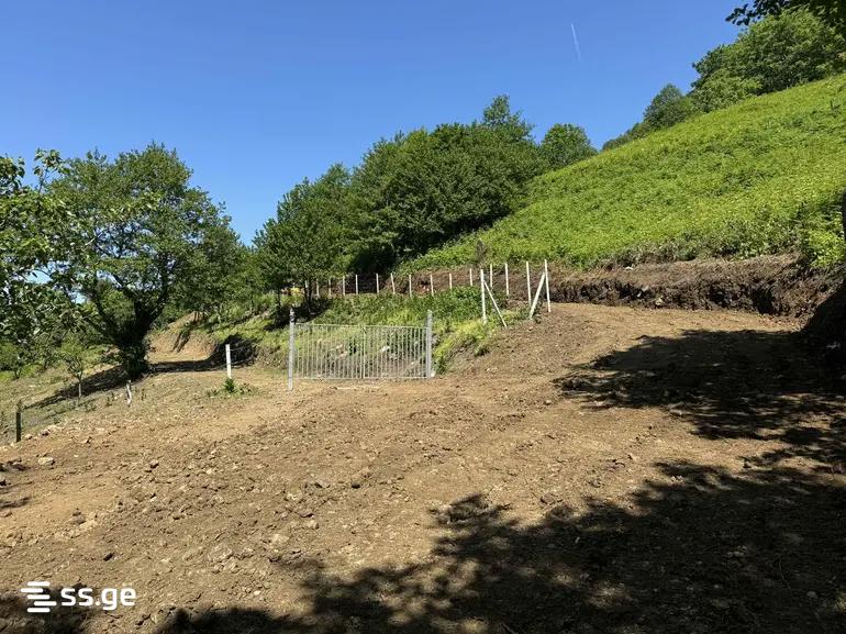 Land For Sale. Batumi, 4 of 4