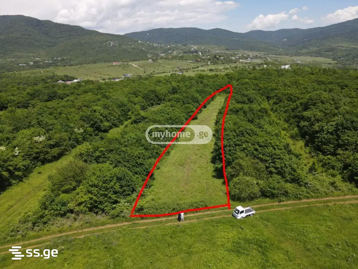 Land For Sale. Saguramo view 3