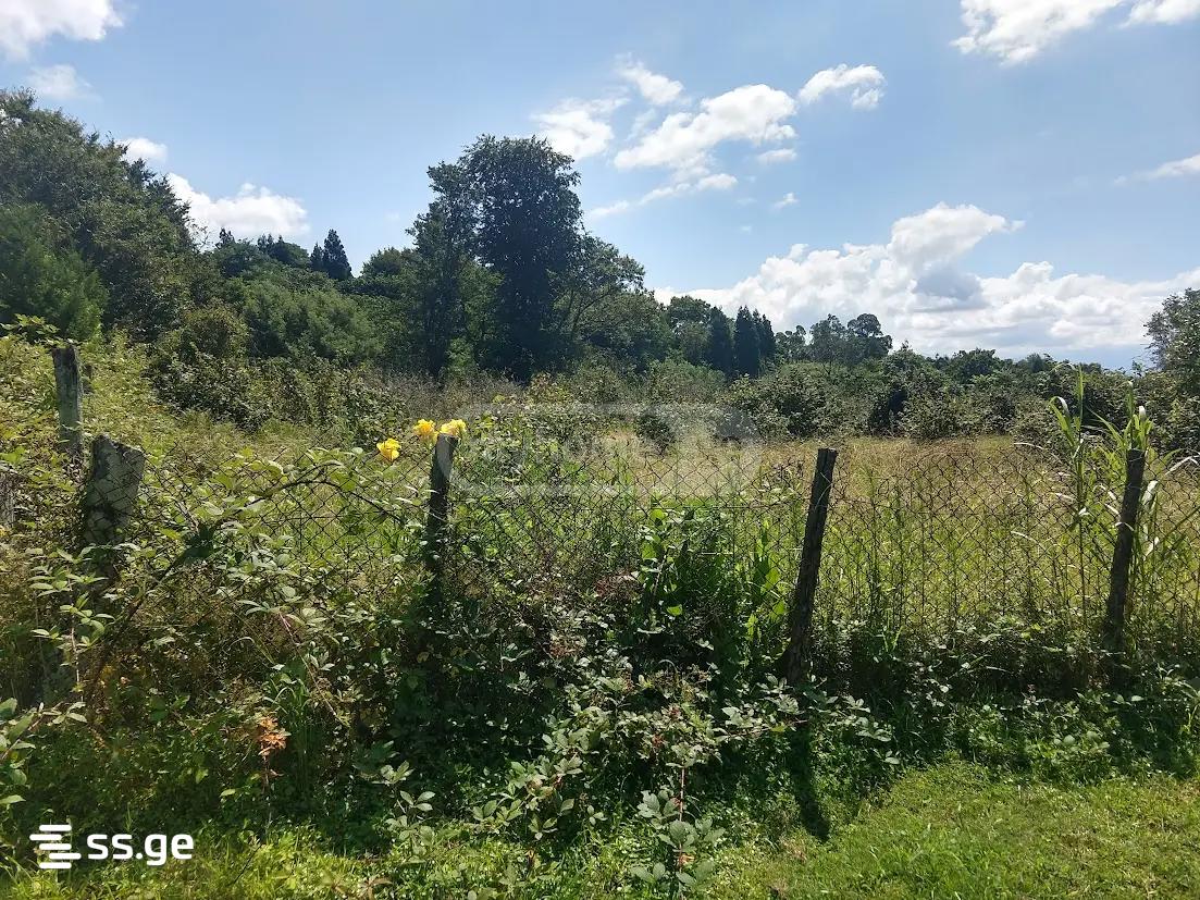 Land For Sale. Shekvetili view 2