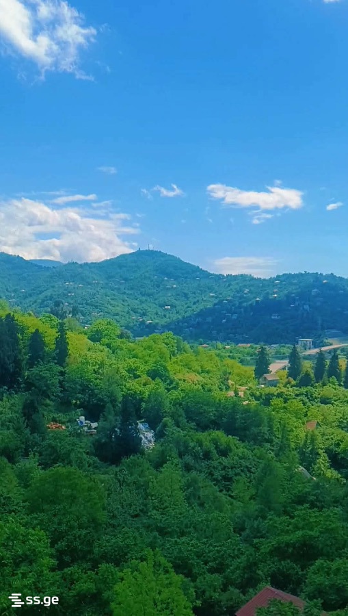 Land For Sale. Batumi, 3 of 3
