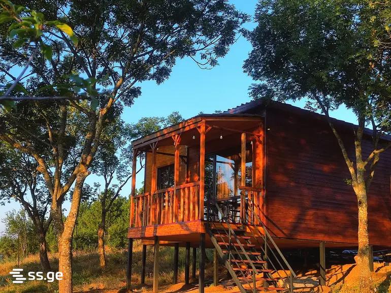 2 Room Summer Cottage Daily Rent. Bazaleti view 2