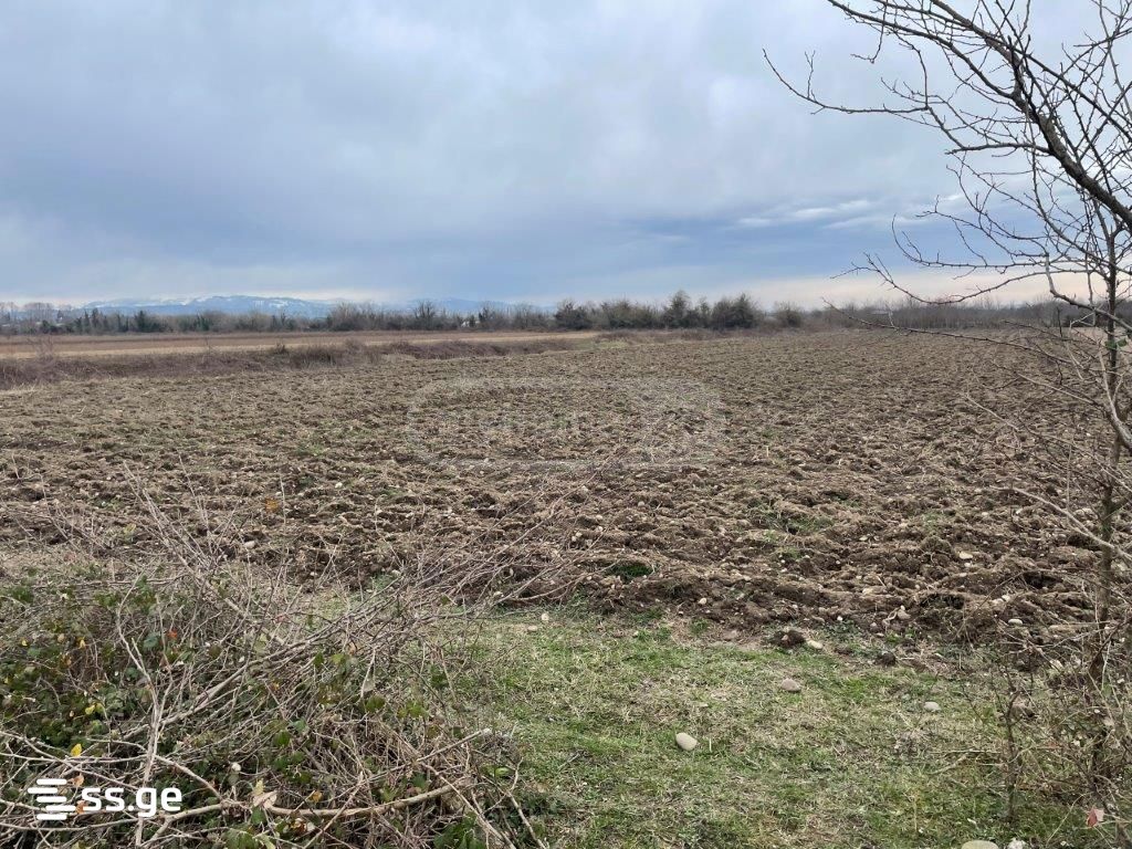 Land For Sale. Tskaltubo view 3