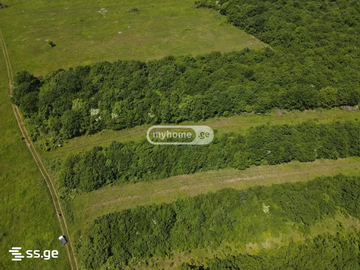 Land For Sale. Saguramo view 11