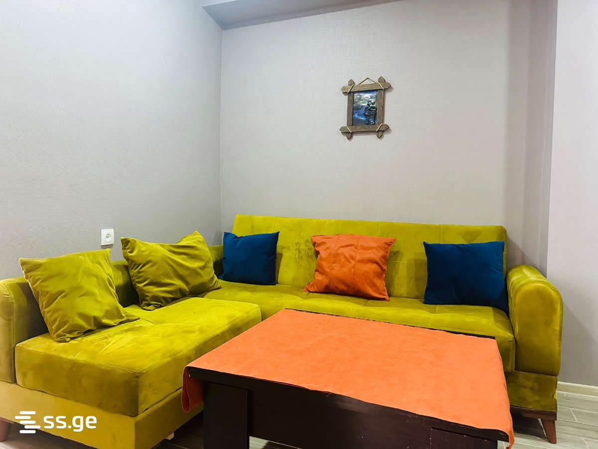 4 Room Flat For Rent. Borjomi view 3