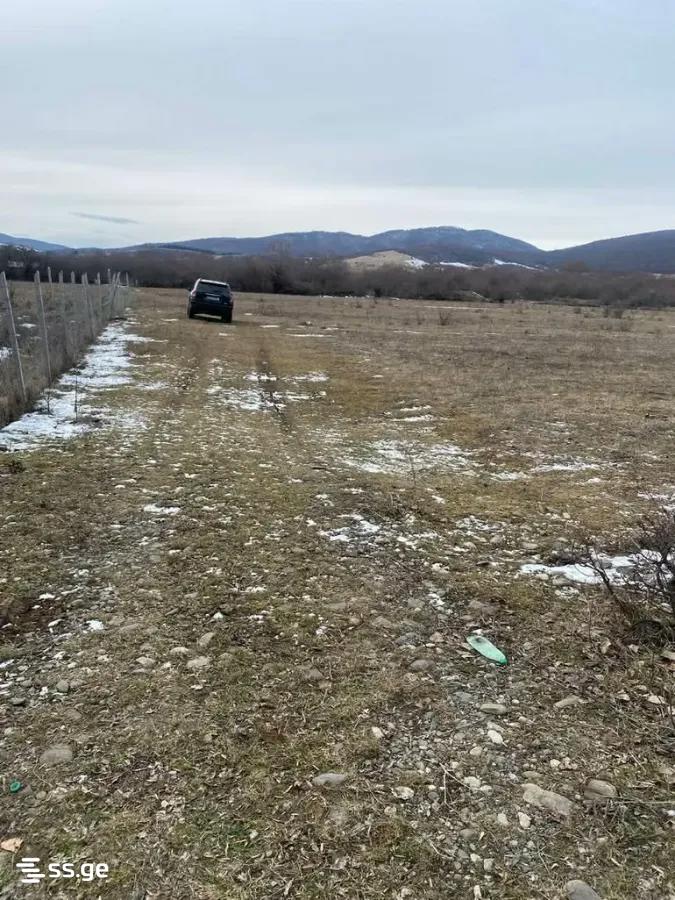 Продажа Земля / участок в Tianetis Munitsipalitetshi view 16