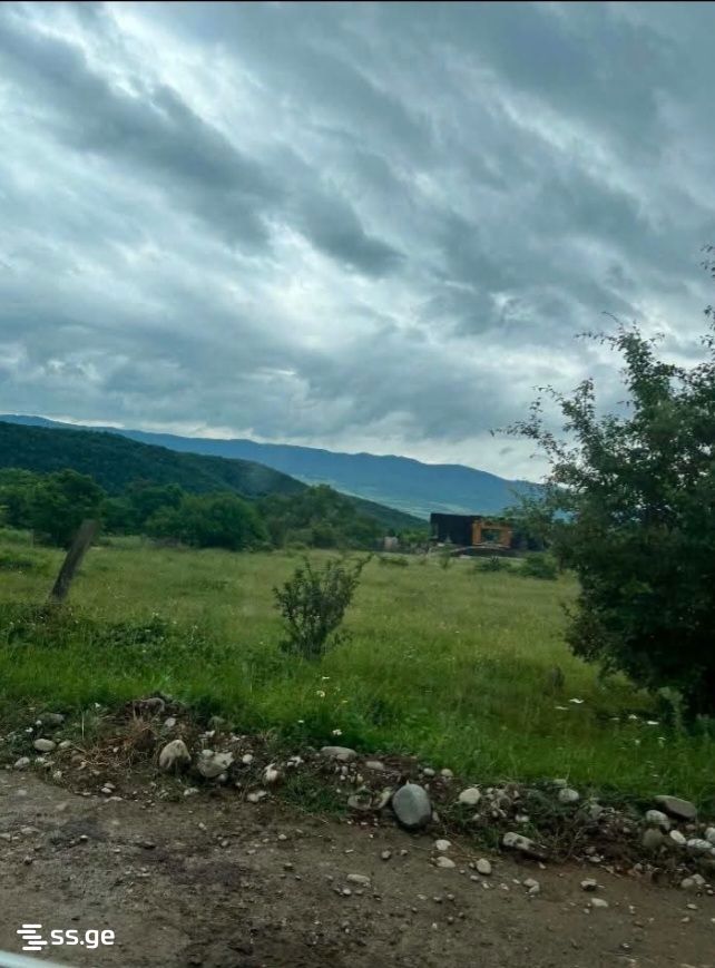 იყიდება მიწა საგურამოში view 3
