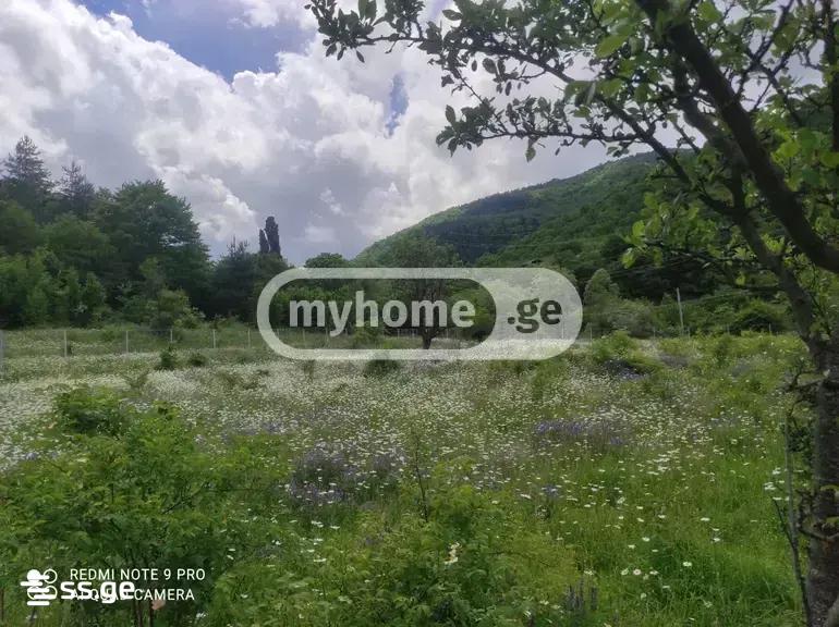 Land For Sale. Gori view 2
