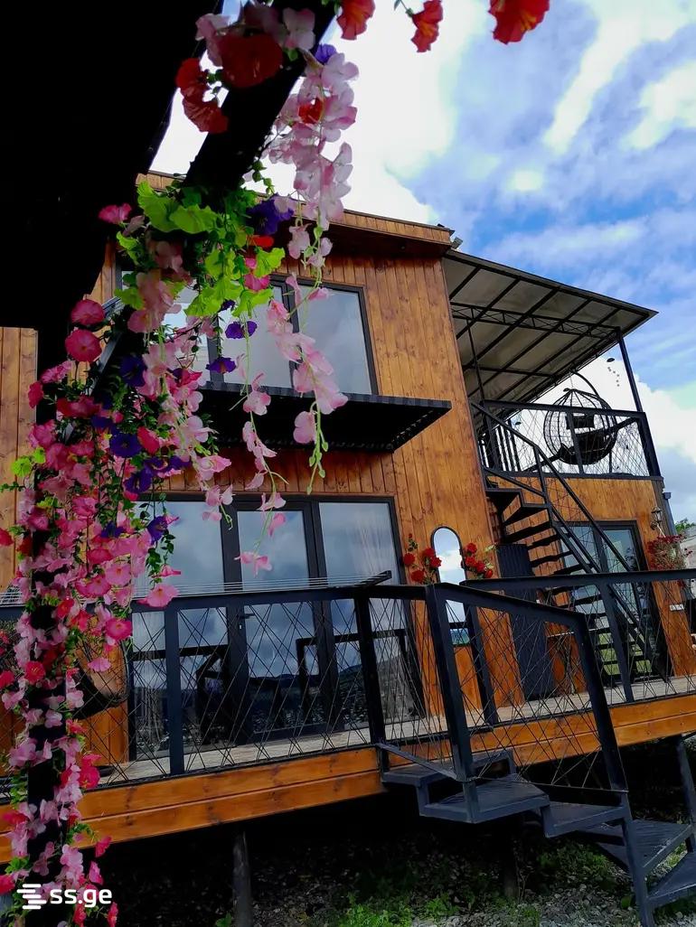 2 Room Private House Daily Rent. Bazaleti view 4