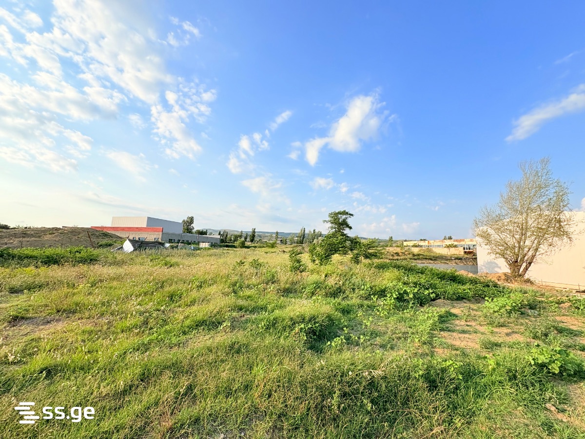 Land For Sale. Isani view 4