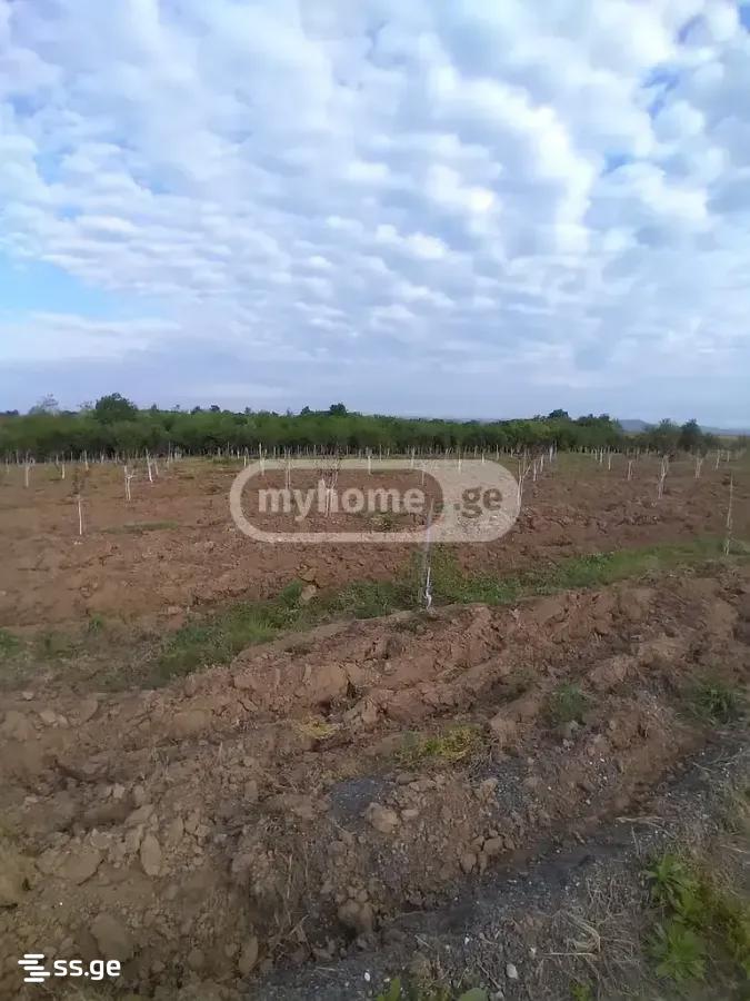 Land For Sale. Senaki view 7