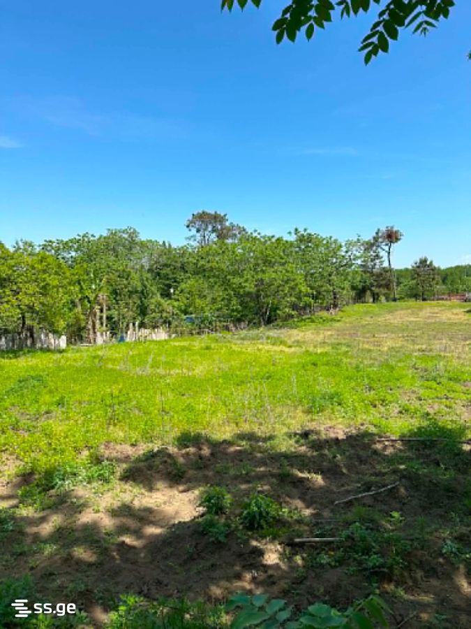 Land For Sale. Shekvetili view 6
