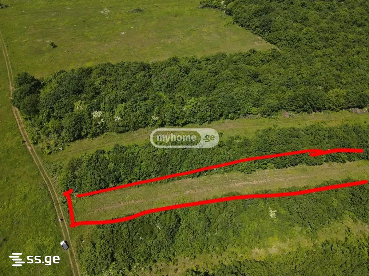 Land For Sale. Saguramo view 13