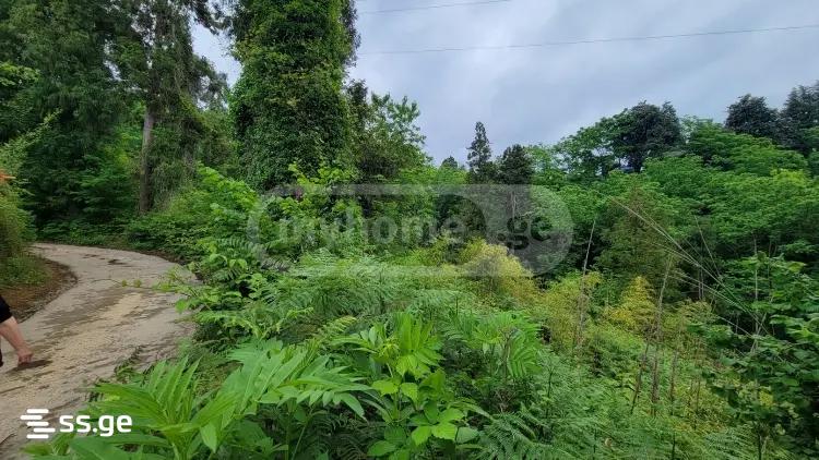 Land For Sale. Tsikhisdziri view 2