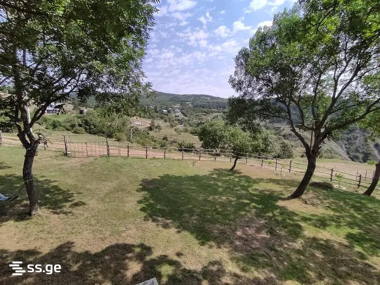 2 Room Summer Cottage Daily Rent. Bazaleti view 14