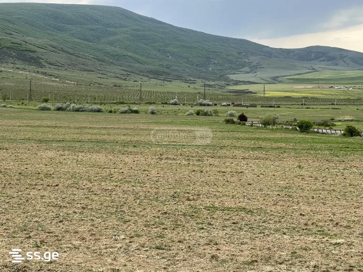 Land For Sale. Kaspi view 9