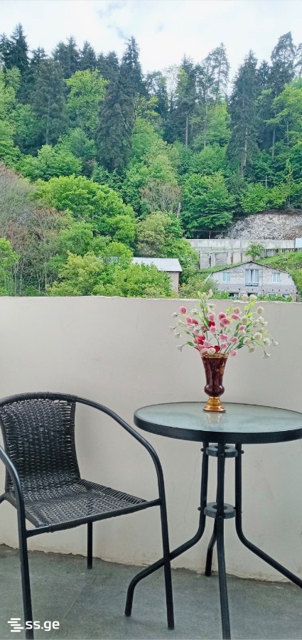 4 Room Flat For Rent. Borjomi view 1