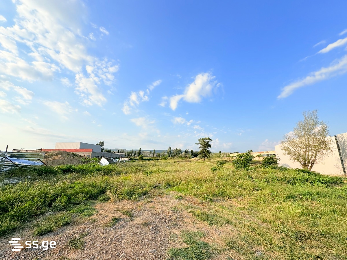 Land For Sale. Isani view 3