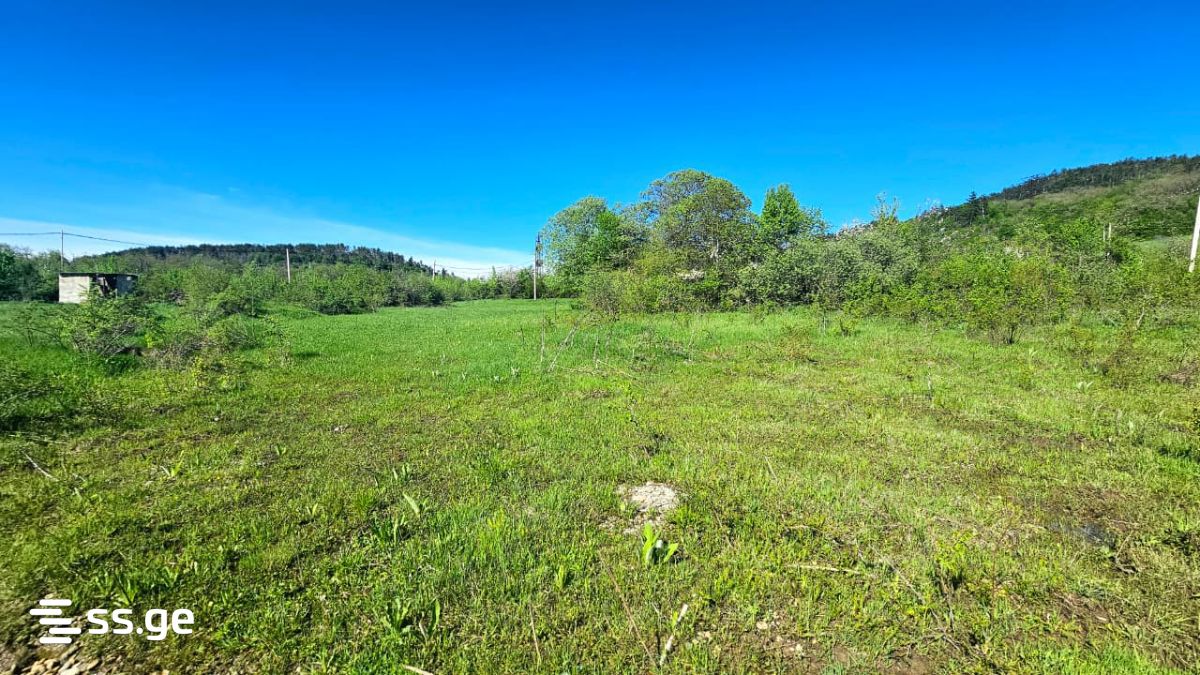 Продажа Agricultural Plot в In Orbeti, In Tetritskaro Municipality view 16