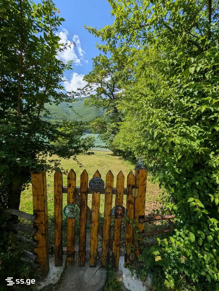 2 Room Summer Cottage Daily Rent. Bazaleti view 12