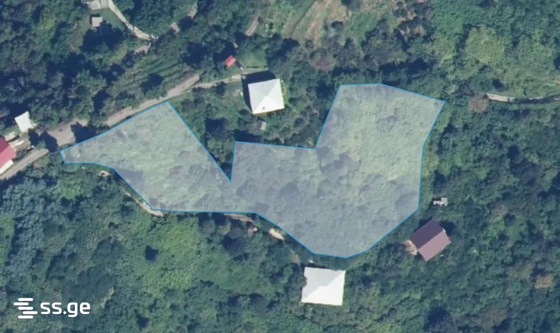 Land For Sale. Tsikhisdziri view 1
