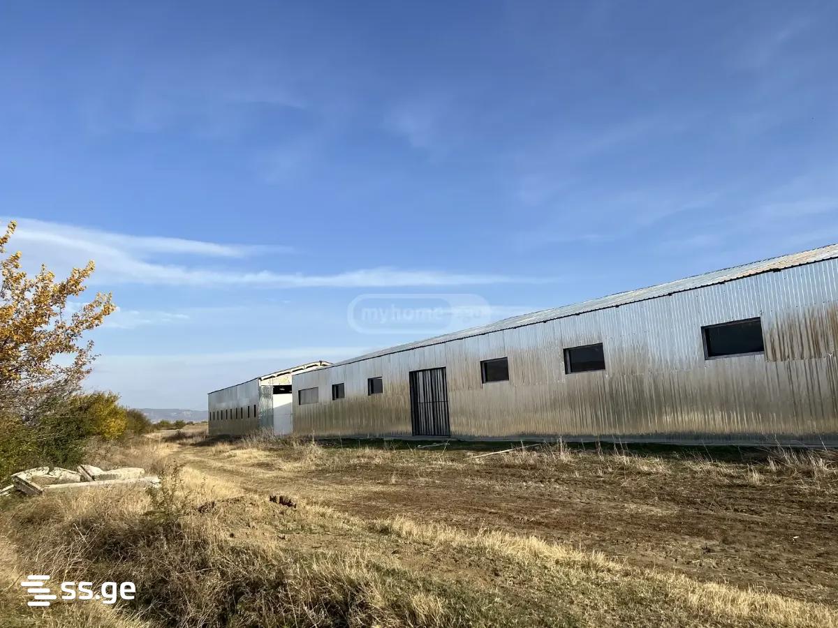 Land For Sale. Kaspi view 4