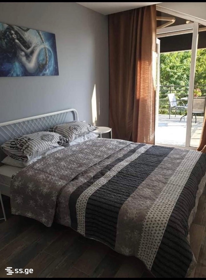 6 Room Private House For Rent. Batumi view 8
