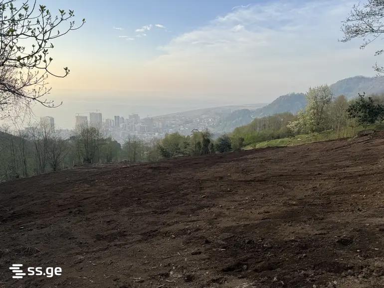 Land For Sale. Batumi, 3 of 4