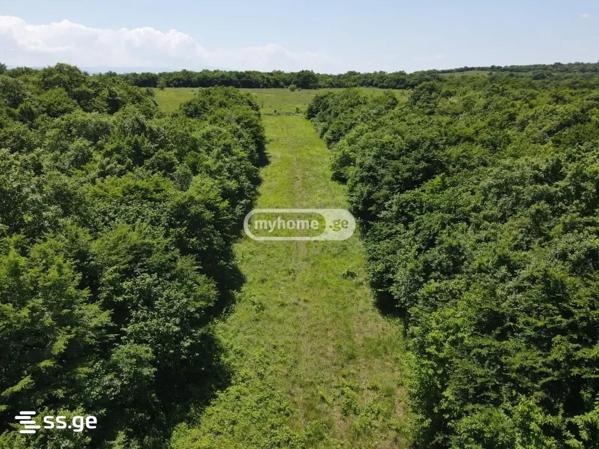 Land For Sale. Saguramo view 10