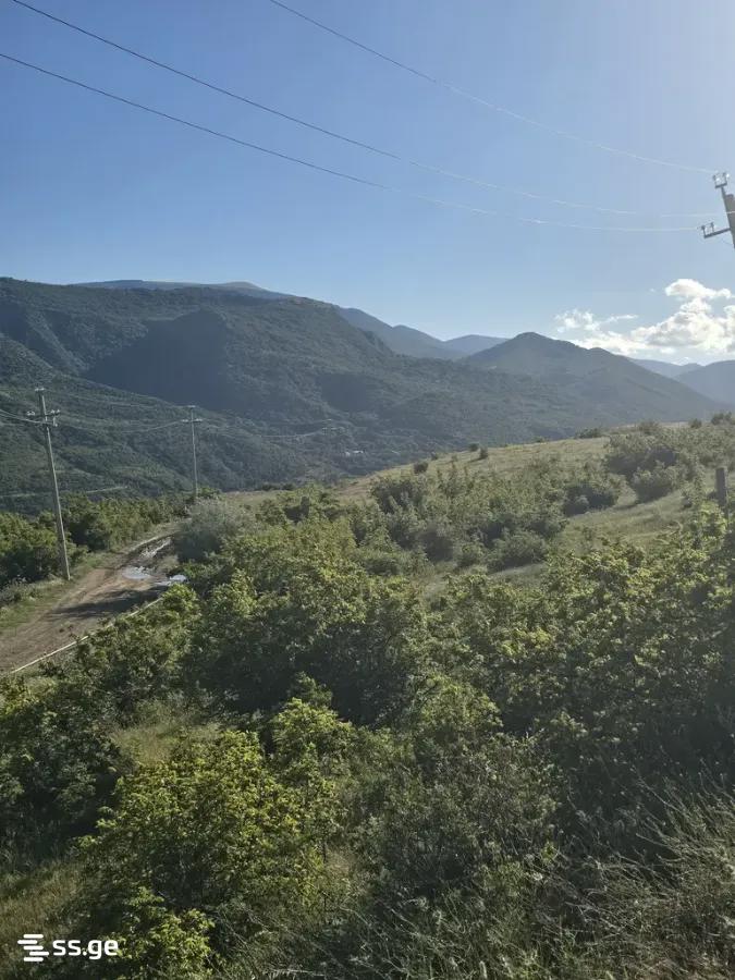 Land For Sale. Didi Digomi view 3