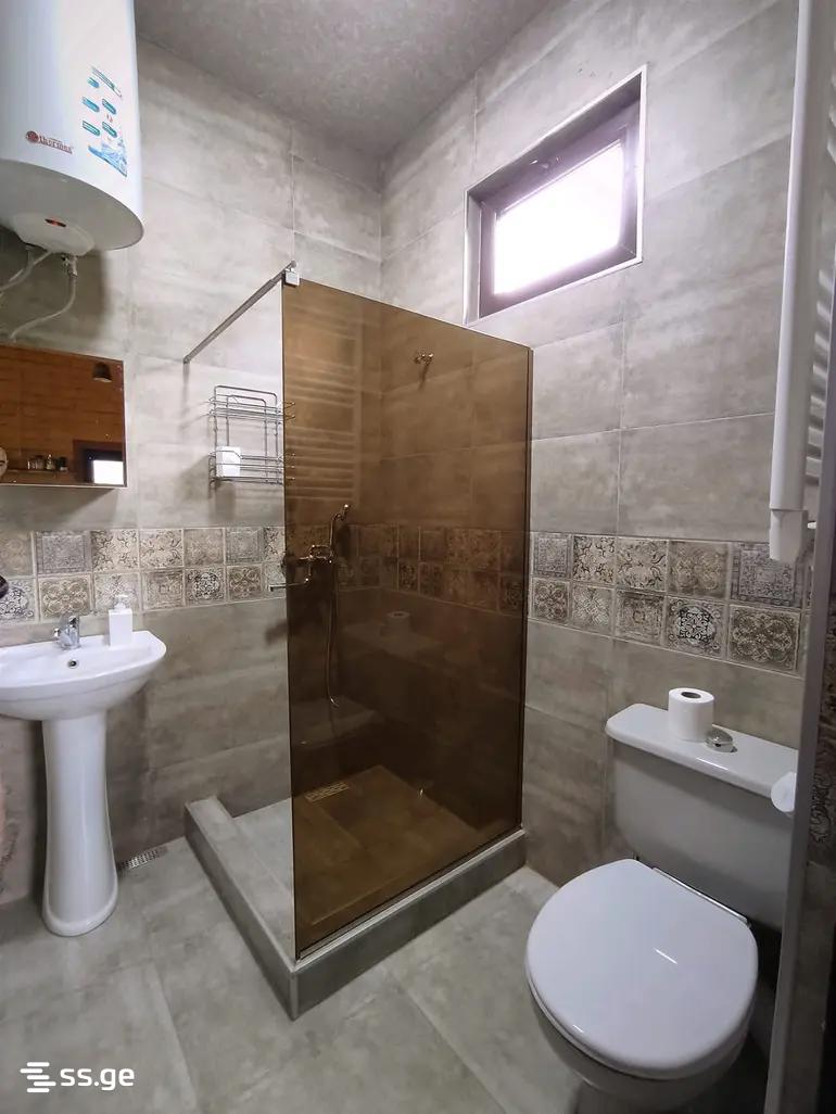 2 Room Summer Cottage Daily Rent. Bazaleti view 13