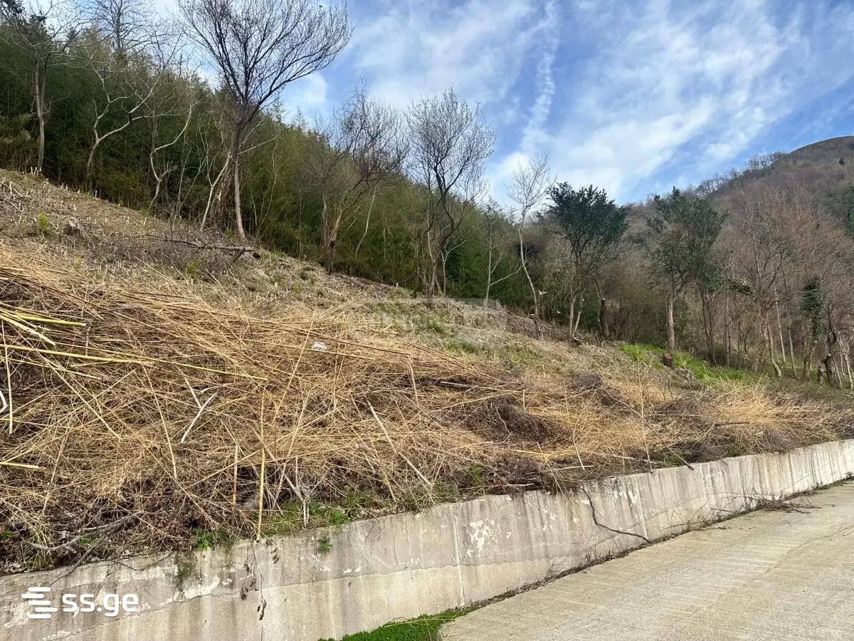 Land For Sale. Gonio view 9