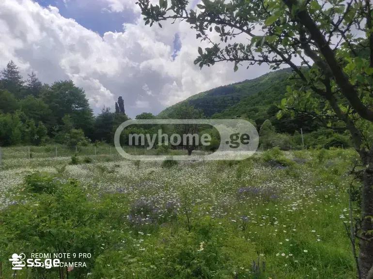 Land For Sale. Gori view 3
