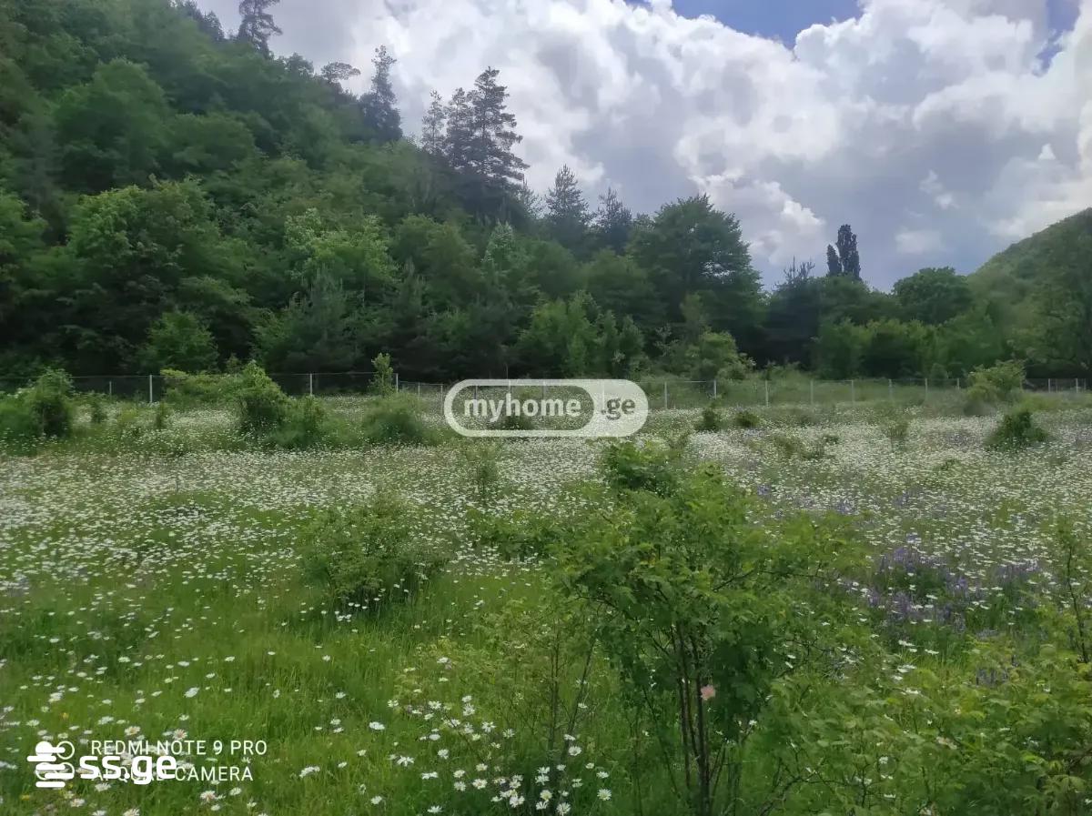 Land For Sale. Gori view 5