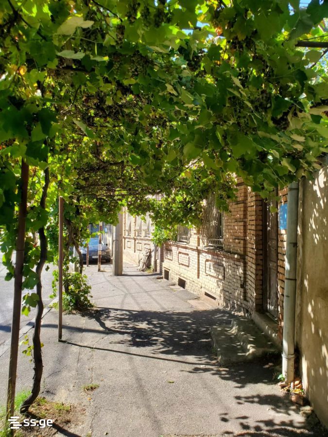 Private House For Sale. Nadzaladevi view 1