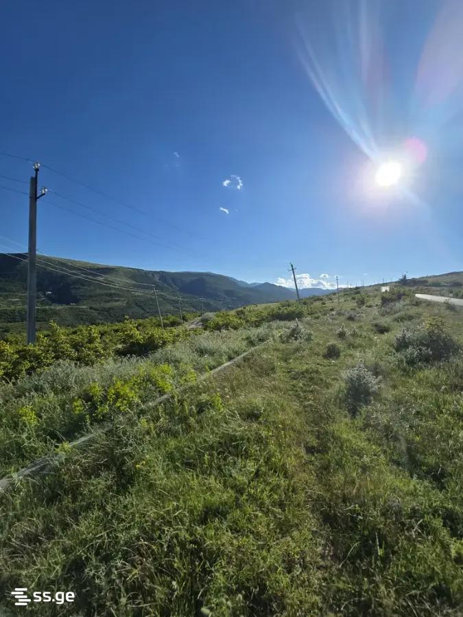 Land For Sale. Didi Digomi view 4