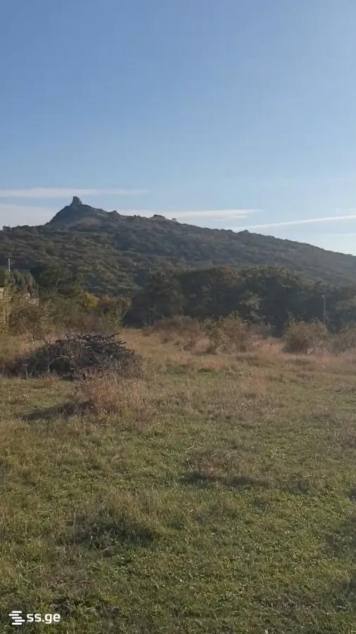 Land For Sale. Mtatsminda view 1