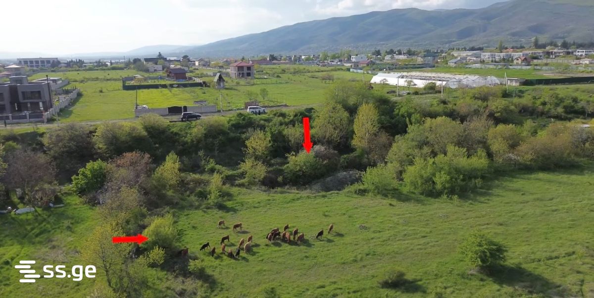 იყიდება მიწა მისაკციელიში view 4